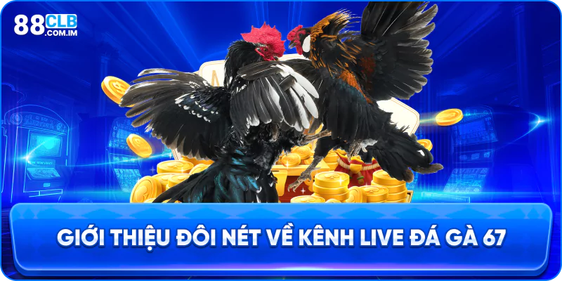 Giới thiệu đôi nét về kênh live đá gà 67