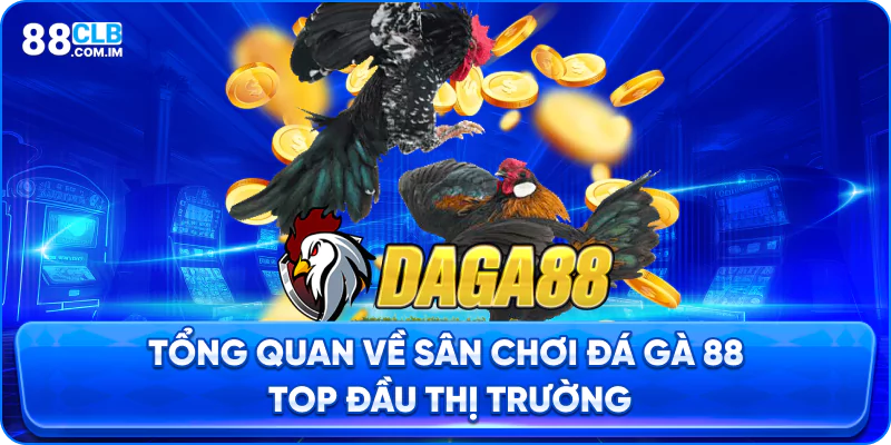 Tổng quan về đá gà 88 – Chiến trường nóng bỏng